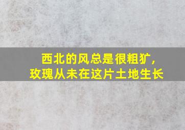 西北的风总是很粗犷,玫瑰从未在这片土地生长