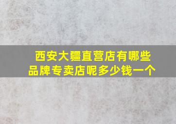 西安大疆直营店有哪些品牌专卖店呢多少钱一个