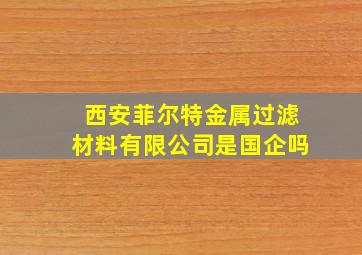 西安菲尔特金属过滤材料有限公司是国企吗