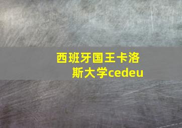 西班牙国王卡洛斯大学cedeu