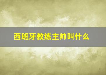 西班牙教练主帅叫什么