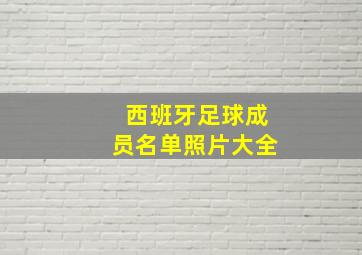 西班牙足球成员名单照片大全