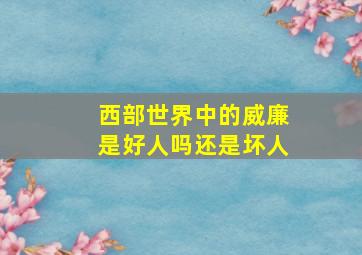 西部世界中的威廉是好人吗还是坏人