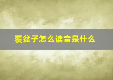 覆盆子怎么读音是什么