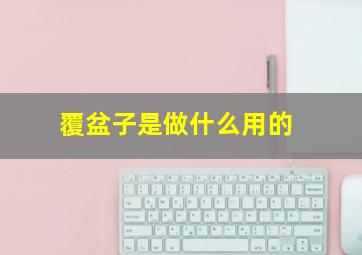 覆盆子是做什么用的