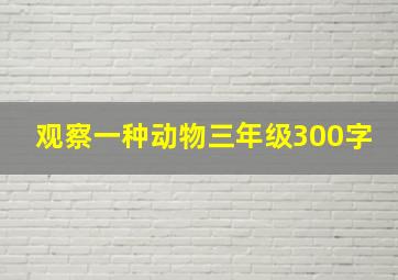 观察一种动物三年级300字