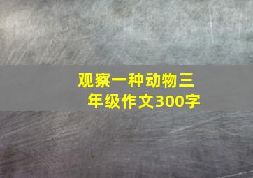 观察一种动物三年级作文300字