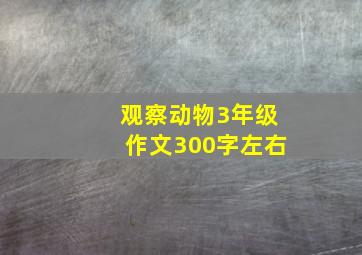 观察动物3年级作文300字左右