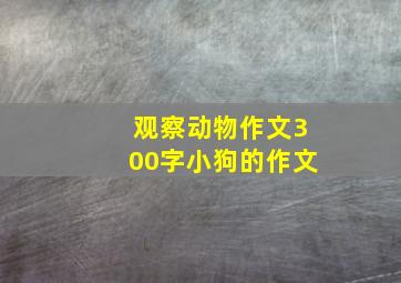 观察动物作文300字小狗的作文