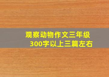 观察动物作文三年级300字以上三篇左右