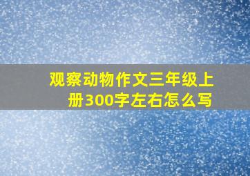 观察动物作文三年级上册300字左右怎么写