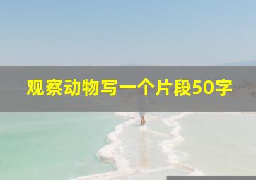 观察动物写一个片段50字