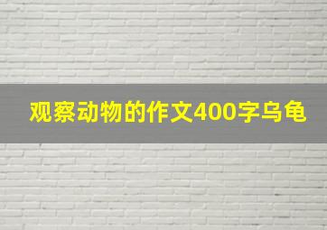 观察动物的作文400字乌龟