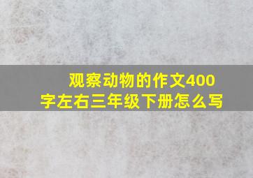 观察动物的作文400字左右三年级下册怎么写