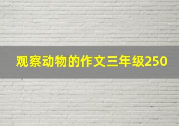 观察动物的作文三年级250