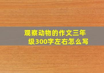 观察动物的作文三年级300字左右怎么写