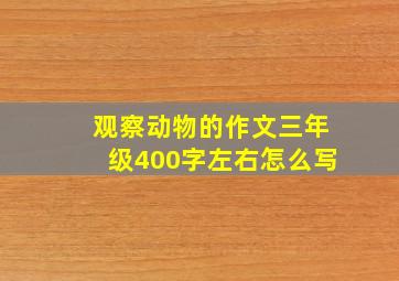 观察动物的作文三年级400字左右怎么写