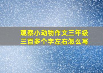 观察小动物作文三年级三百多个字左右怎么写