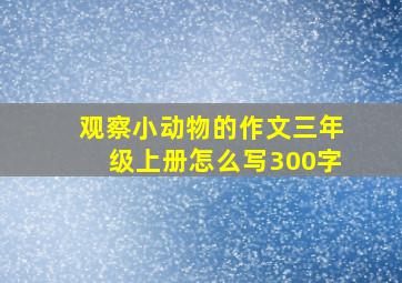 观察小动物的作文三年级上册怎么写300字