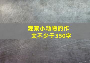 观察小动物的作文不少于350字