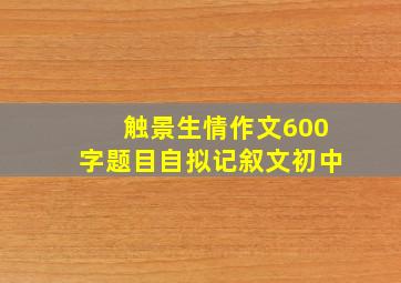 触景生情作文600字题目自拟记叙文初中