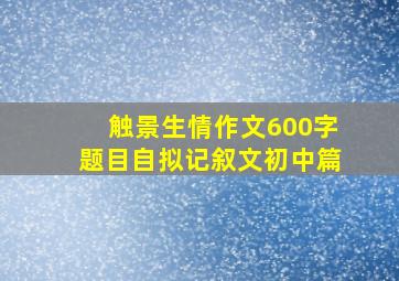 触景生情作文600字题目自拟记叙文初中篇