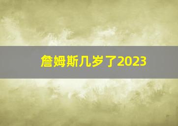 詹姆斯几岁了2023