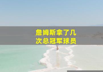 詹姆斯拿了几次总冠军球员