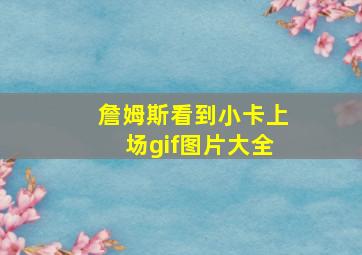 詹姆斯看到小卡上场gif图片大全