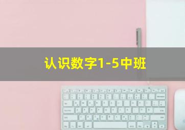 认识数字1-5中班