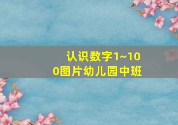 认识数字1~100图片幼儿园中班