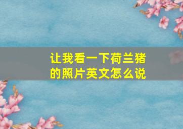 让我看一下荷兰猪的照片英文怎么说