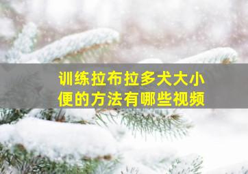 训练拉布拉多犬大小便的方法有哪些视频