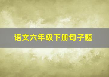 语文六年级下册句子题