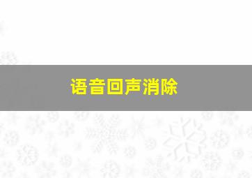 语音回声消除