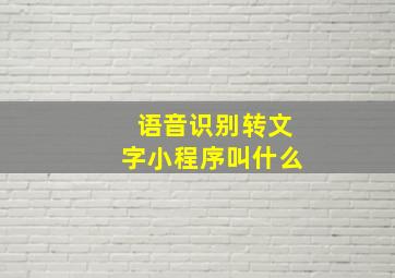 语音识别转文字小程序叫什么