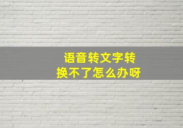 语音转文字转换不了怎么办呀