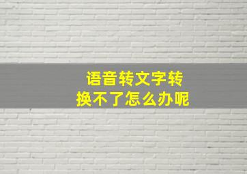 语音转文字转换不了怎么办呢