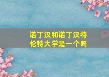 诺丁汉和诺丁汉特伦特大学是一个吗