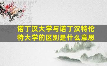 诺丁汉大学与诺丁汉特伦特大学的区别是什么意思