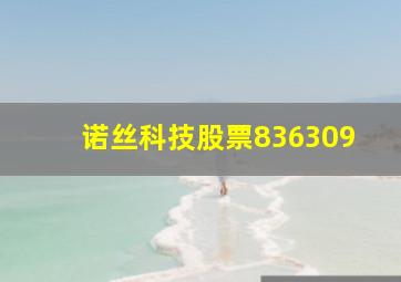 诺丝科技股票836309