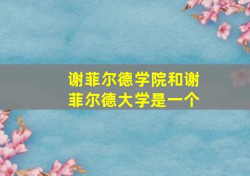 谢菲尔德学院和谢菲尔德大学是一个