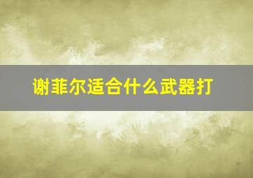 谢菲尔适合什么武器打