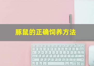 豚鼠的正确饲养方法