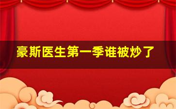 豪斯医生第一季谁被炒了