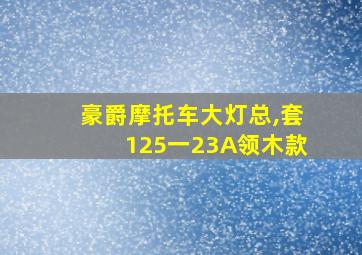 豪爵摩托车大灯总,套125一23A领木款