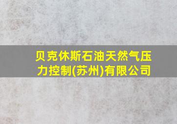 贝克休斯石油天然气压力控制(苏州)有限公司