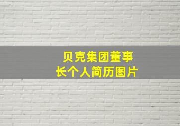 贝克集团董事长个人简历图片