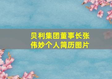 贝利集团董事长张伟妙个人简历图片