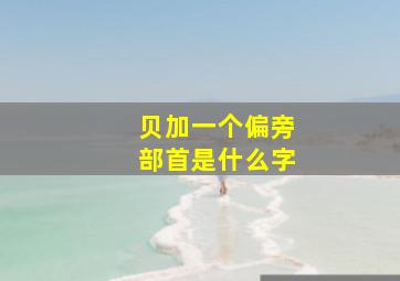 贝加一个偏旁部首是什么字